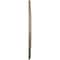 Ekena Millwork Traditional Reece Medallion (Canopies up to 5 7/8"), 24 3/8"OD x 1 1/8"P, Gobi Desert Crackle CM24REGDC - alternate 3